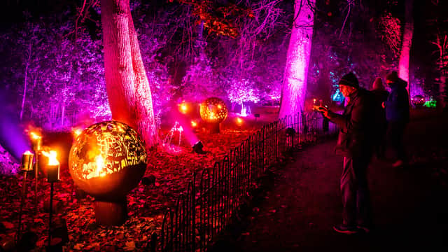 The Fire Garden turns up the heat — making Christmas at Belton a seriously hot ticket this winter