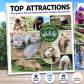Top Attractions - your best family days out in the region this half term