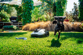Mammotion's new Yuka 2 Mini is a great garden companion - thanks to some clever guidance tech