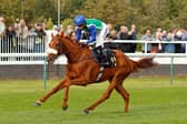 Green Falcon wins The Colwick Cup