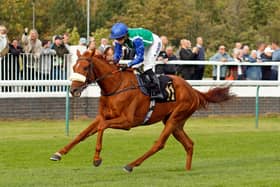 Green Falcon wins The Colwick Cup