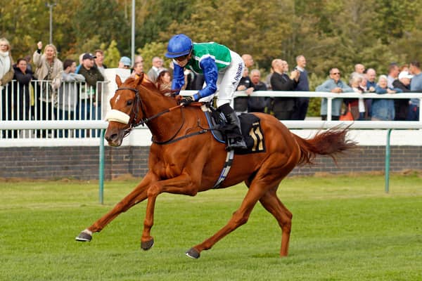 Green Falcon wins The Colwick Cup
