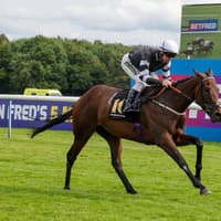 Oolong Poobong signs off on a winning note at Nottingham Racecourse