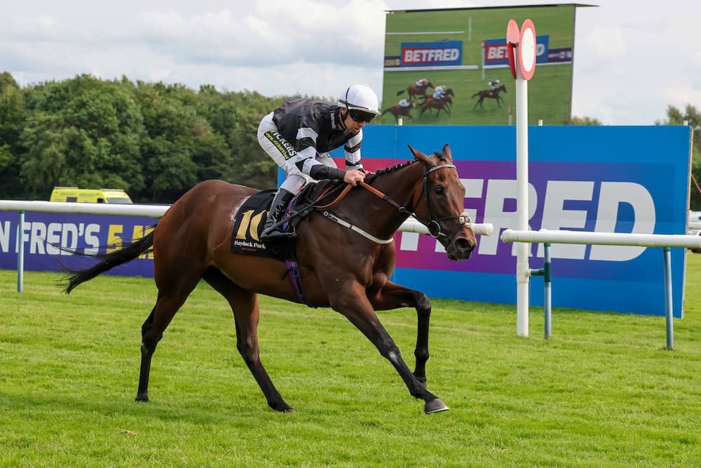 Oolong Poobong winning at Haydock under Connor in May 2025