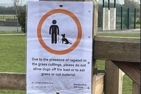 Signs have now been put up at Merlin Park warning dog owners about the ragwort cuttings. Photo: Submitted