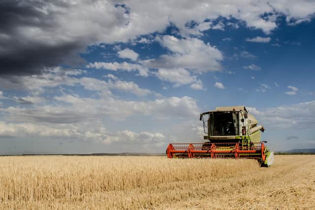 Poor weather hit harvest incomes for farmers last year
