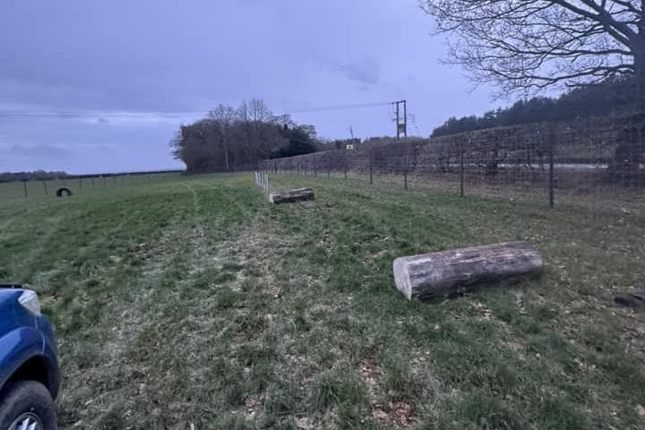 Papplewick Farm Brand new Papplewick dog walking field is all ready to welcome it's ...
