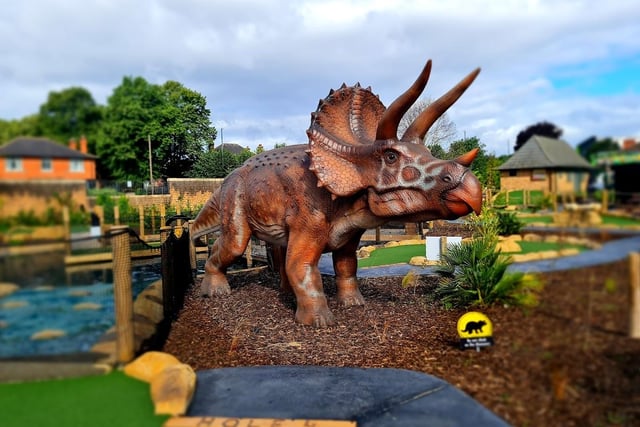 Families and/or friends can visit Jurassic Cove Adventure Golf on Stockhill Lane, Nottingham, for a dinosaur-themed hour of fun. Visit jurassiccove.co.uk for more details.