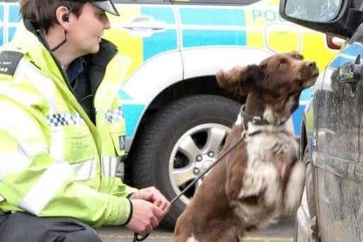 Police with sniffer dogs might be a common sight at train stations to stop 'County Lines' drug dealing