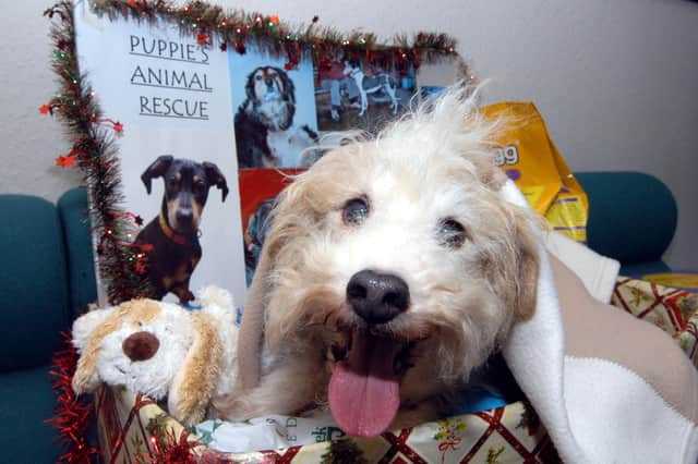 2007: Jack from Puppies Animal Rescue collects the food donated by the public at the Hucknall Dispatch's office.