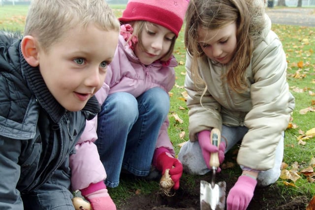 Seven-year-olds William Plaskitt, Abigail Wheeldon and Aliassa Peutrill, of Broomhill Junior School plant bulbs at Titchfield Park in 2006