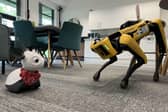 Spot® the robotic dog