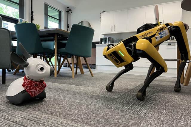 Spot® the robotic dog