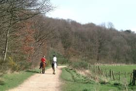 Bestwood Country Park is a jewel in the local crown