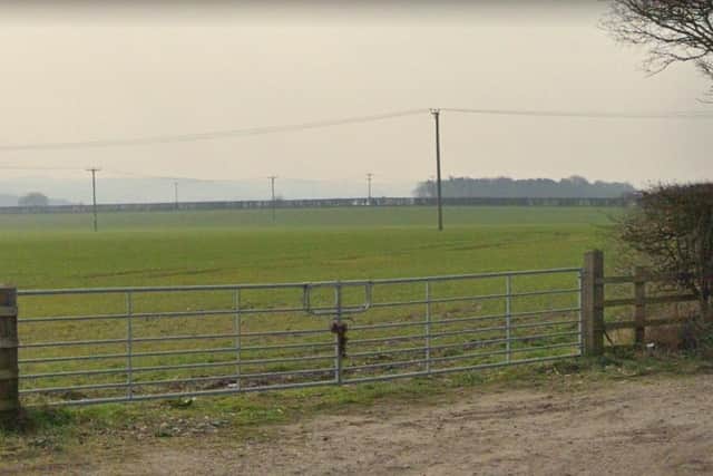 Plans revealed for purpose-built dog walking field in Papplewick
