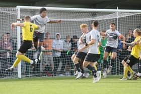 Hucknall Town have stayed up, despite a 'challenging' season.