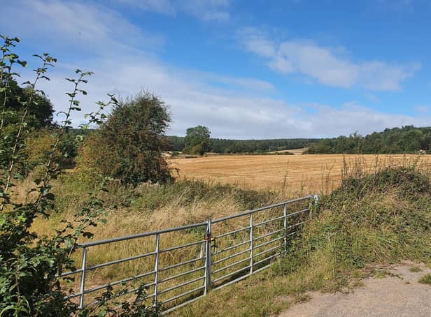 Whyburn Farm in Hucknall is controversially pinpointed for 3,000 new homes