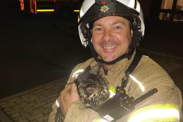 A firefighter carries away the cat rescued from the Bulwell house fire