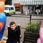 The auction will raise funds for Birmingham Children's Hospital, which helped organiser Cheryl Hibbard's son when he was born with a heart condition
