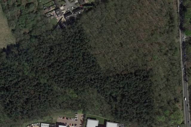 Ashfield District Council wants to fell and prune trees in this area of woodland in Annesely Woodhouse. Photo: Google