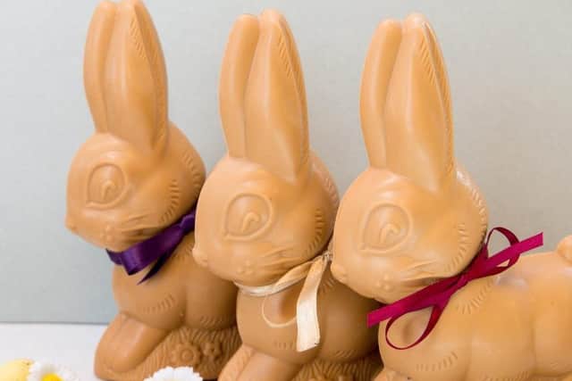 Will you be the first to spot the golden bunny at Birds?