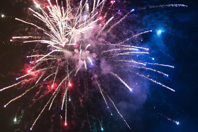This year's fireworks display at Forest Recreation Ground will not go ahead