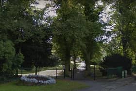 More than 18 per cent of Ashfield is covered by trees but Friends of the Earth say it's not enough. Photo: Google