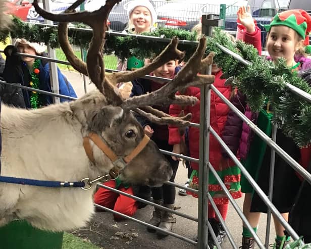 Springfield pupils meeting a reindeer at school