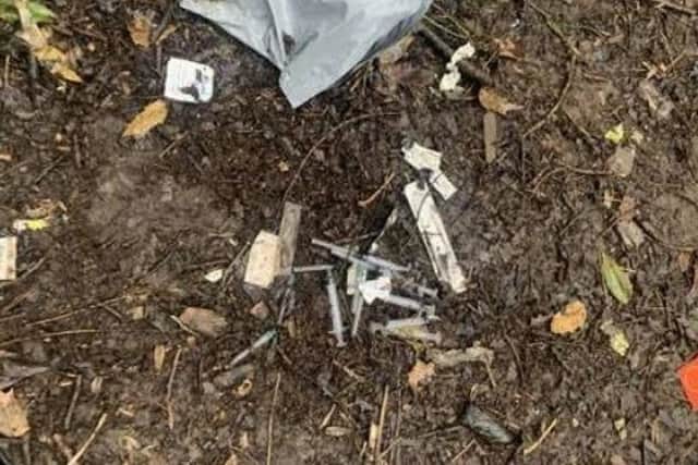 Discarded needles were found near the children's play area at Titchfield Park. Photo: Grace Brown