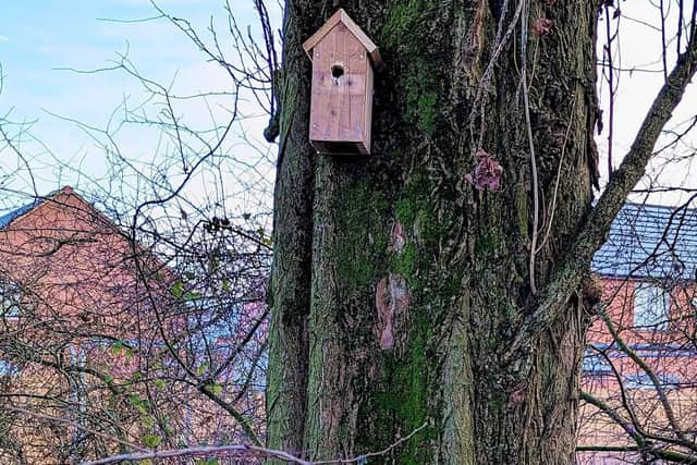 The children have also put bird boxes and bird feeders up in the park
