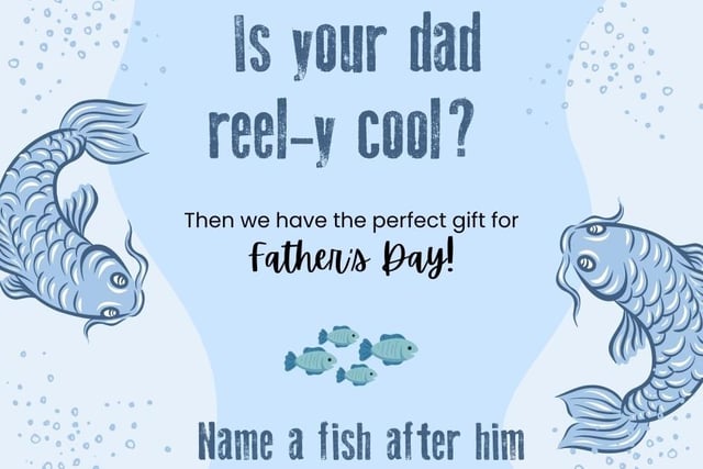 Is your dad fin-tastic? Then the Tropical Butterfly House have the perfect gift for Father’s Day – name a fish after him. Following the huge success of their Mother’s Day promotion “Name a butterfly after your mum”, the Tropical Butterfly House launched this initiative for Father’s Day 2023. Tropical Butterfly House| £2.
