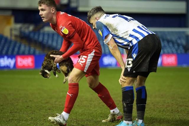 Our pitch invader is finally caught as Wigan Athletic's Jason Kerr gets to grips with his opponent and begins removing it from the game