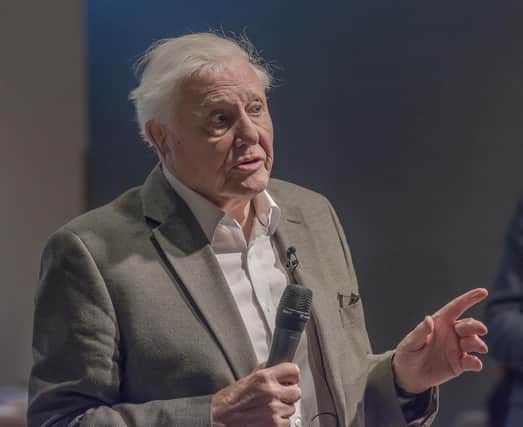 Sir David Attenborough the most sought after guest speaker (photo: Getty Images)