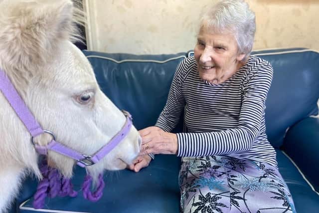 The ponies were a big hit with residents