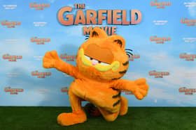 The Garfield Movie comes to Hucknall's Arc Cinema this week. Photo: Getty Images