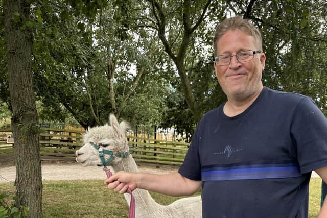 I found out why these cute alpacas are proving to be a massive hit with ...
