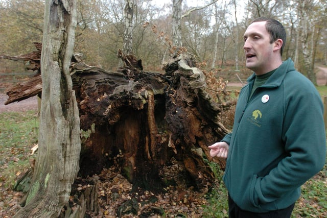 Sherwood Forest Country Park,  Paul Cook - head ranger, as of 2007.