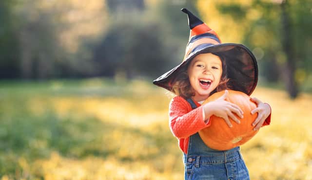 There are several pumpkin-picking spots across the area. Debdale Lane Pumpkin patch is now open, as is Maxey's Farm Shop and family-run 'Pick Your Own' in North Nottinghamshire. Halloween photo by Adobe Stock.
