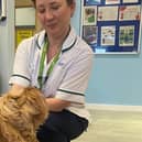 Archie, Volunteer Dog, pictured with Ann Woodhouse, Occupational Therapist