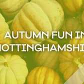 Autumn fun in Nottinghamshire