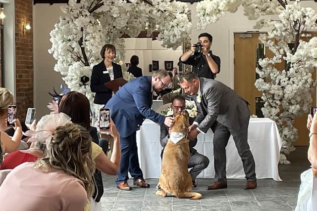 The couple's dog, Bernie, acted as ring-bearer.