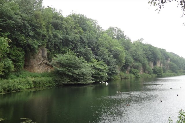 The world-famous Creswell Crags, a site that dates back 10,000 to 50,000 years, is a treasure trove of Britain’s only known Ice Age cave art. Imagine stepping into a world frozen in time, where ancient humans left their mark on the walls of these caves. The peaceful lake, surrounded by a limestone gorge dotted with caves, offers a unique experience for families, nature enthusiasts, and history buffs alike. This is ideal for a relaxing walk or picnic, with lots more to do and see! There is no charge to visit the site, shop, or coffee shop, or to walk around the lake and gorge. Creswell Crags only ask for a small contribution for parking, with all-day parking available for just £6, or £4 for three hours. Charges are also modest for the exhibition, at £3 for an adult, £2 for concessions, and children go free. The cave tours, starting from £10 per person for a public group tour, offer a unique opportunity to delve deeper into the history of this fascinating site.