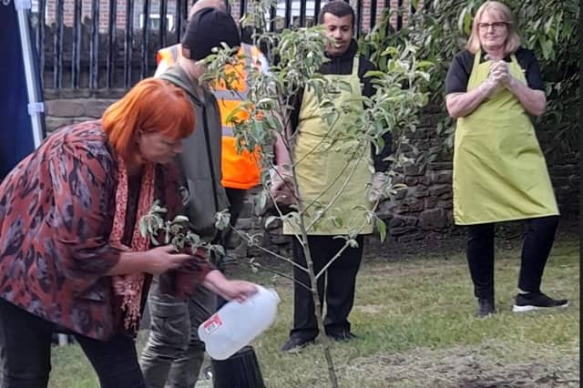 The tree was planted as part of the Queen's Platinum Jubilee celebrations