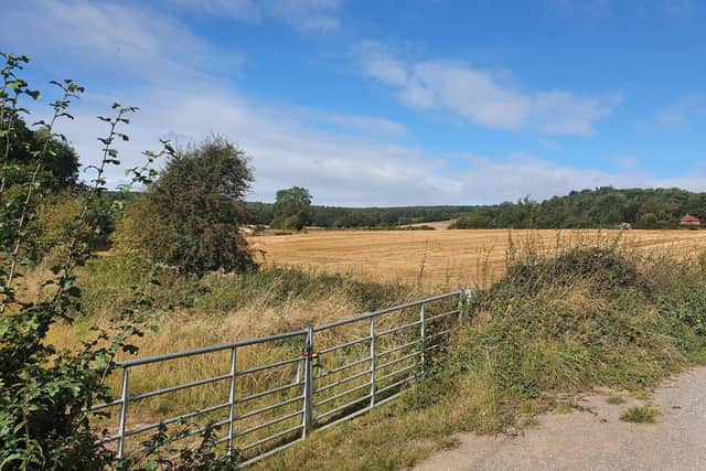 Surveying activity at Whyburn Farm has raised fears among campaigners against plans to build 3,000 homes on the site