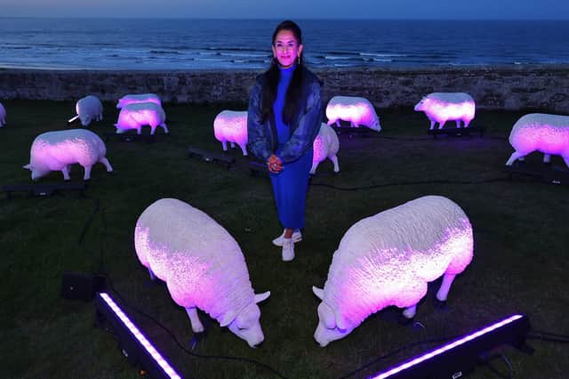 Illuminated sheep art work at Bamburgh with artist Deepa Mann-Kler
 (photo: Raoul Dixon)