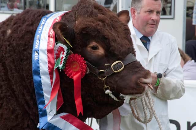 The Nottinghamshire County Show is back this year