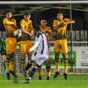 Basford's brilliant FA Youth Cup run ended with defeat at home to West Brom.
