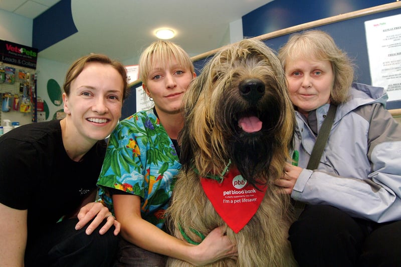 2007:  Hercules was the first ever blood donor at Vets4Pets in Leen Drive, Bulwell. He is shown with vets Vanessa Ashall and Jenny Babington and owner Marilyn Squires.