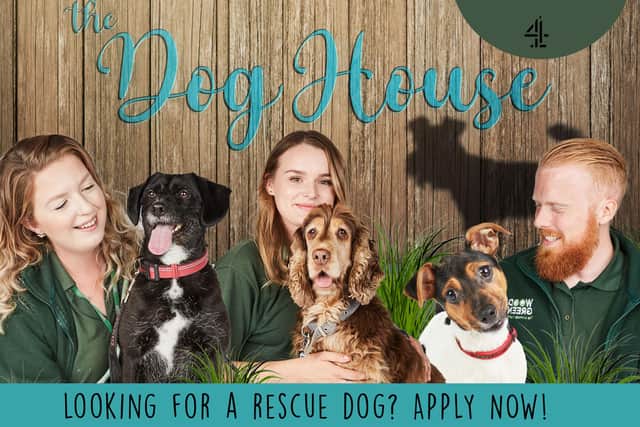 Channel 4 show The Dog House is looking for people from Hucknall and Bulwell to take part in the next series