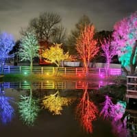 New features at Light Post Farm set to illuminate Nottinghamshire attraction